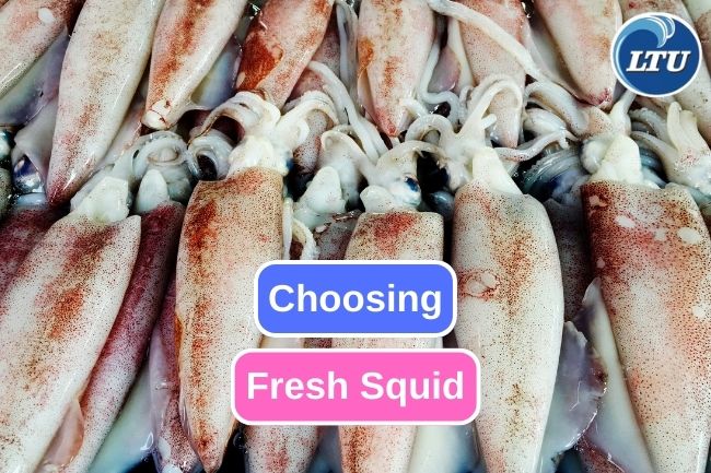 Here’s How to Choose Fresh Squid
